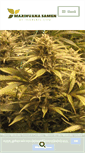 Mobile Screenshot of marihuana-samen.com